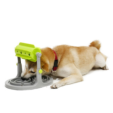 Slow Feeder Pet Interactive Toy