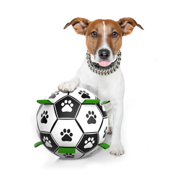 Pet Supplies Galore Interactive Dog Soccer Ball