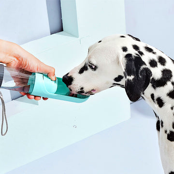 Pet Supplies Galore Pet Water Bottle Dispenser