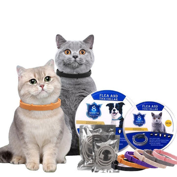 Pet Supplies Galore Anti-Flea Pet Collar