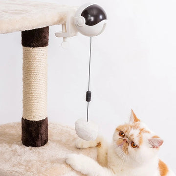 Pet Supplies Galore Automatic Ball Lifting Cat Toy