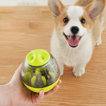 Pet Supplies Galore Interactive IQ Treat Toy