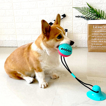 Pet Supplies Galore Silicone Suction Tug Toy